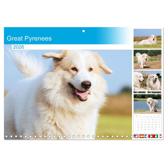 Great Pyrenees (Monthly Wall Calendar 2026 16.5 x 23.4 (open)), CALVENDO 14 Month Calendar