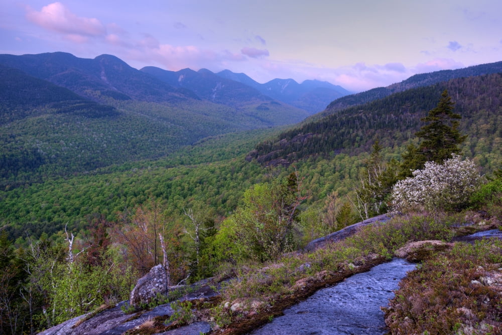 Great Range from First Brother Adirondack Park New York State USA Canvas Art - Panoramic Images (36 x 12)