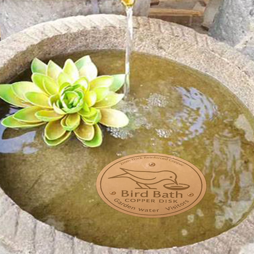 Antimicrobial Copper Bird Bath Purification Disk - Bell Farm Shops