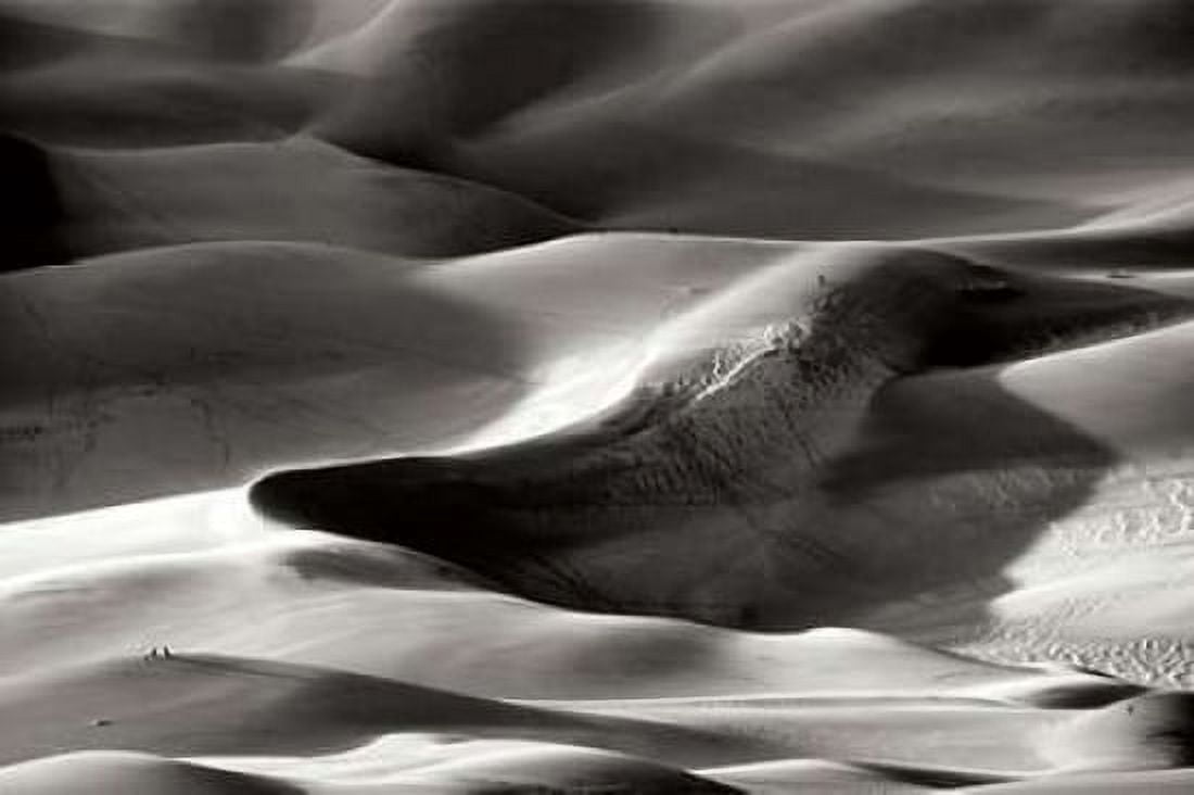 Great Sand Dunes I BW Canvas Art - Douglas Taylor (12 x 18)