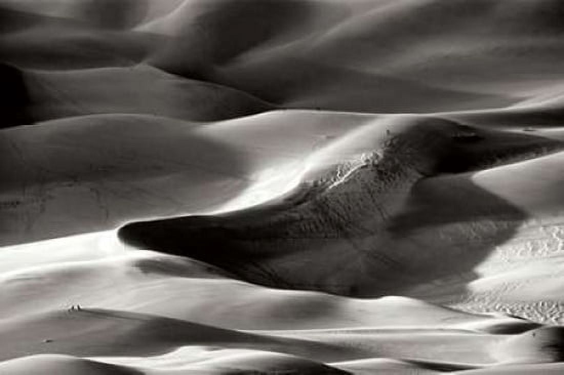 Great Sand Dunes I BW Canvas Art - Douglas Taylor (24 x 36)