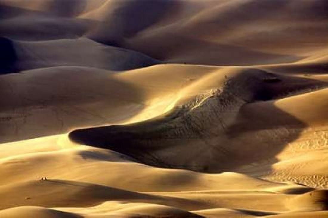 Great Sand Dunes I Canvas Art - Douglas Taylor (24 x 36)