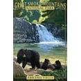 thumbnail image 1 of Great Smoky Mountains National Park, Tennessee, Abrams Falls (12x18 Wall Art Poster, Room Decor), 1 of 3