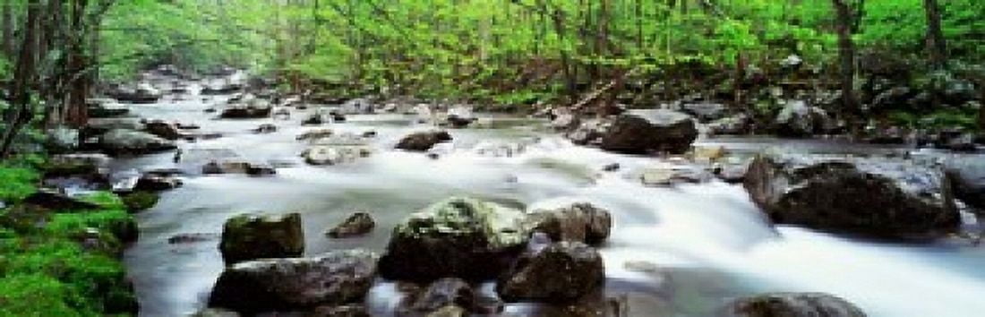 Great Smoky Mountains National Park Tennessee Canvas Art - Panoramic Images (38 x 12)