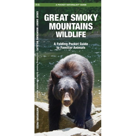 Great Smoky Mountains Wildlife: An Introduction to Familiar Species