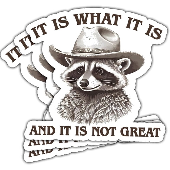 It is What It is and It Not Great Sticker, Funny Raccoon Sticker - Stickers for Laptop Water Bottle Phone Car Window Helmet Vinyl Stickers 3 Inches (3x3inch)
