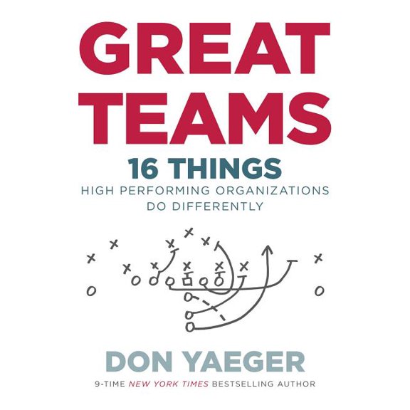 Great Teams: 16 Things High Performing Organizations Do Differently (Hardcover)