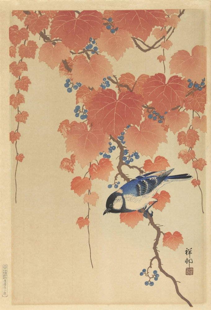 Great Tit On Paulownia Branch Canvas Art - (24 x 36)