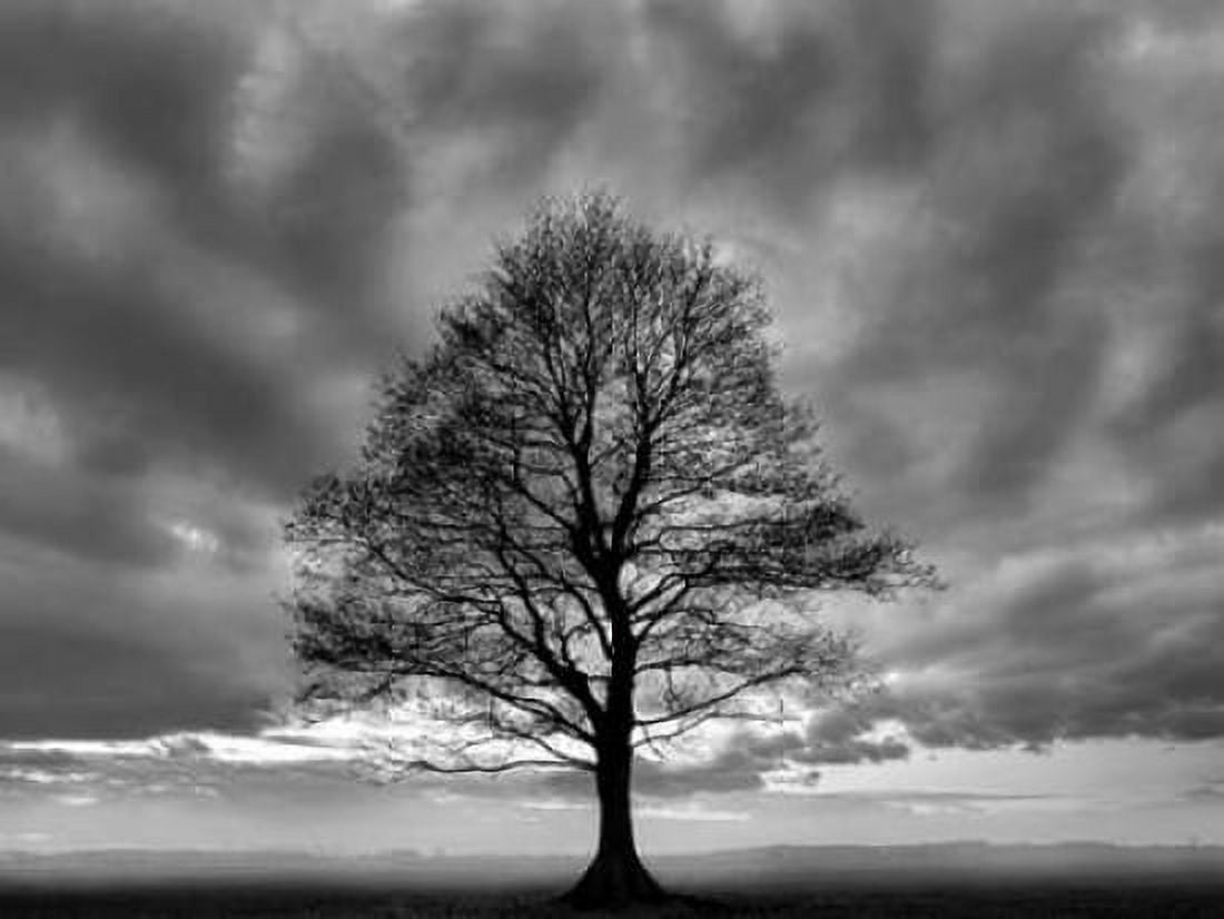 Great Tree Canvas Art - PhotoINC Studio (18 x 24)