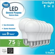 Great Value A19 LED Light Bulbs, 75 Watts Eqv, Daylight, General Purpose, 9yr, Medium Base, 12pk