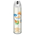Great Value Aerosol Air Freshener, Hawaiian, 1 piece
