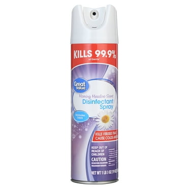 Great Value Disinfectant Spray, Morning Meadow Scent, 19 FL OZ