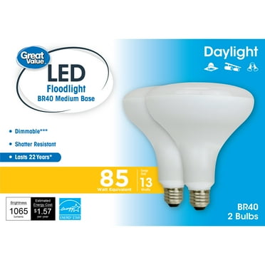 Great Value LED Light Bulb, 14 Watts (85W Equivalent) BR40 Floodlight Lamp E26 Medium Base, Dimmable, Daylight, 2-Pack