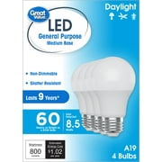 Great Value LED Light Bulb, Daylight, 60 Watt Eqv, A19 General Purpose, E26 Medium Base, 9yr, 4pk