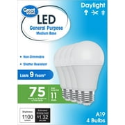 Great Value LED Light Bulb, Daylight, 75 Watt Eqv, A19 General Purpose, E26 Medium Base, 9yr, 4pk