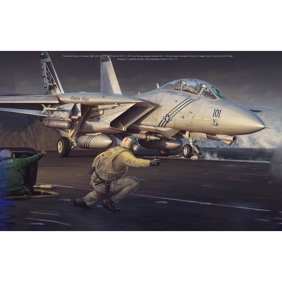 Great Wall Hobby L4833 1/48 Scale F-14B"BOMBCAT"Fighter Model Kit