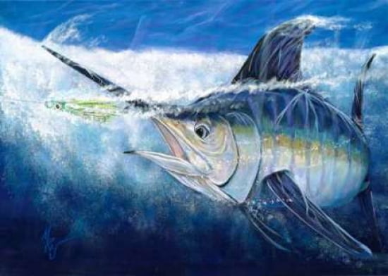 Great White Canvas Art - Mark Ray (20 x 28)