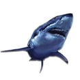 thumbnail image 1 of Great White Shark - 3" Vinyl Sticker - For Car Laptop I-Pad Phone Helmet Hard Hat - Waterproof Decal, 1 of 1