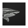 thumbnail image 1 of Great White Shark Rampage - Canvas, 1 of 25