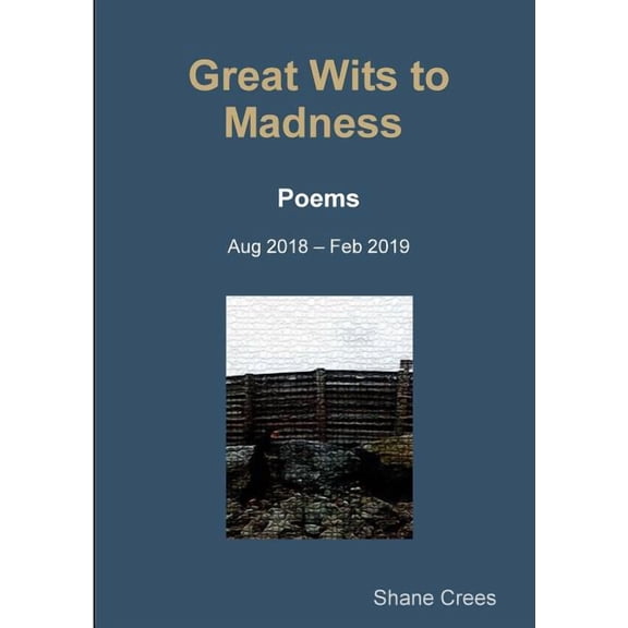 Great Wits to Madness, (Paperback)