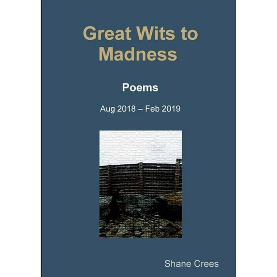 Great Wits to Madness, (Paperback)