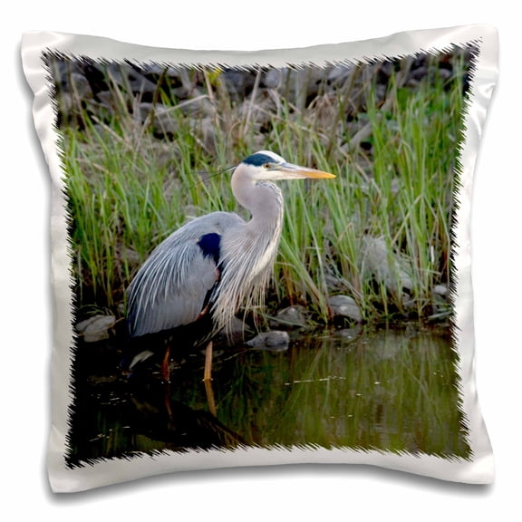 3drose, Great Blue Heron Bird Maumee Bay Refuge, Ohio - Us36 Dfr0038 - David R. Frazier, 16x16 inch Pillow Case