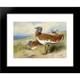 thumbnail image 1 of Great bustards 20x24 Framed Art Print by Archibald Thorburn, 1 of 2