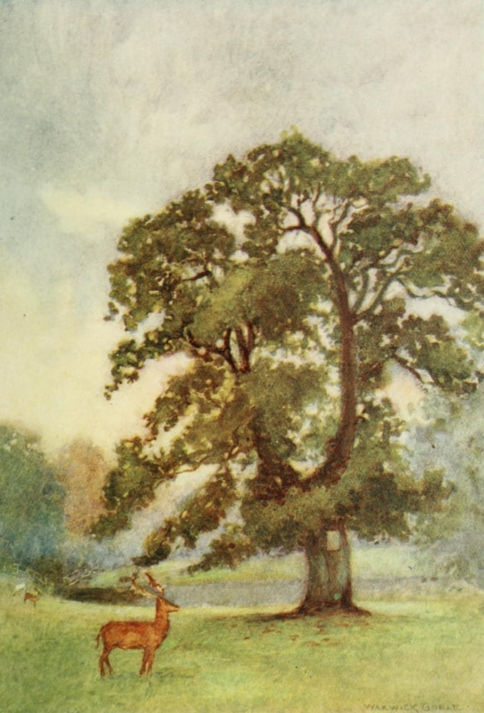 Greater Abbeys of England 1908 Woburn Abbots Oak Canvas Art - Warwick Goble (24 x 36)