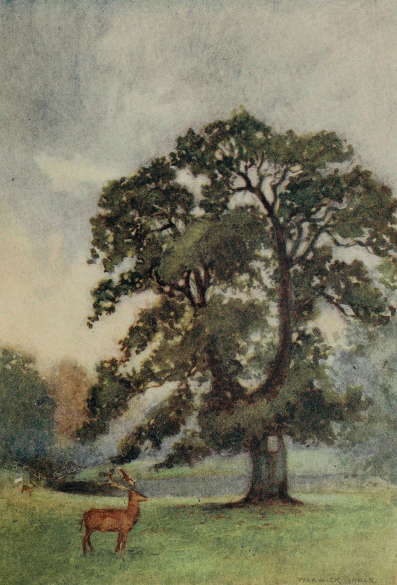 Greater Abbeys of England 1908 Woburn the Abbots oak Canvas Art - Warwick Goble (18 x 24)