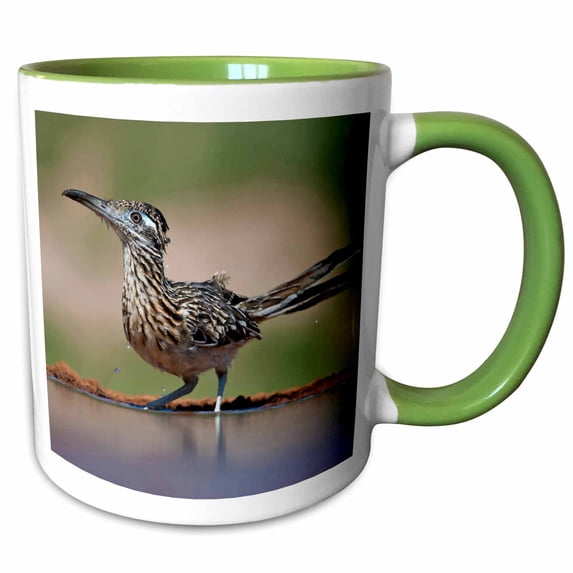 3drose, Greater Roadrunner Bird by Pond in South Texas, Usa - Us44 Ldi0912 - Larry Ditto, 11oz Two-tone Green Mug