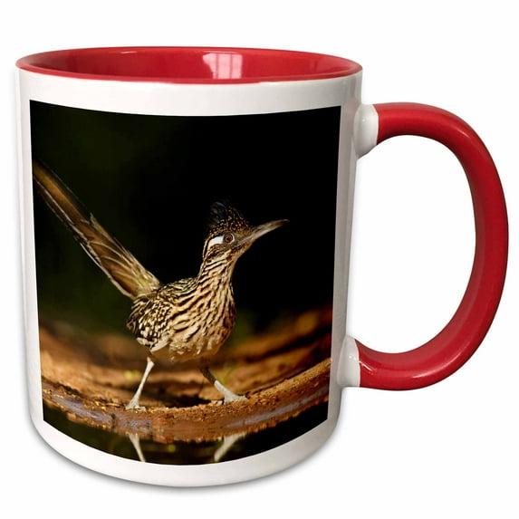3drose, Greater Roadrunner Bird, Texas, Usa - Us44 Ldi0515 - Larry Ditto, 11oz Two-tone Red Mug