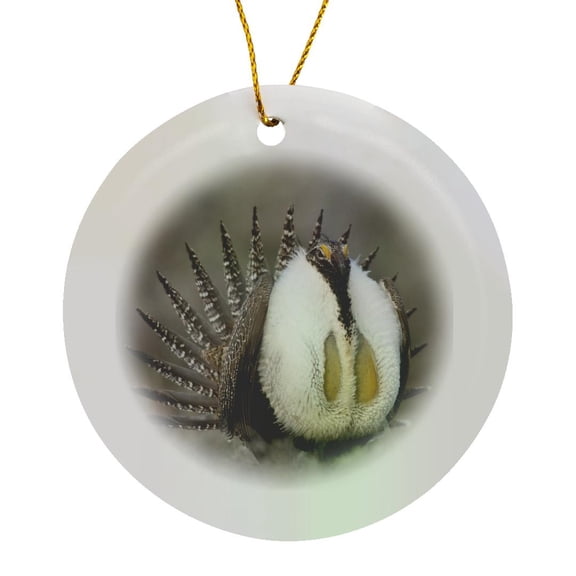 3drose, Greater Sage Grouse Bird, Foster Flats, Oregon - Us38 Rbr0065 - Rick A. Brown, Circle Porcelain Ornament