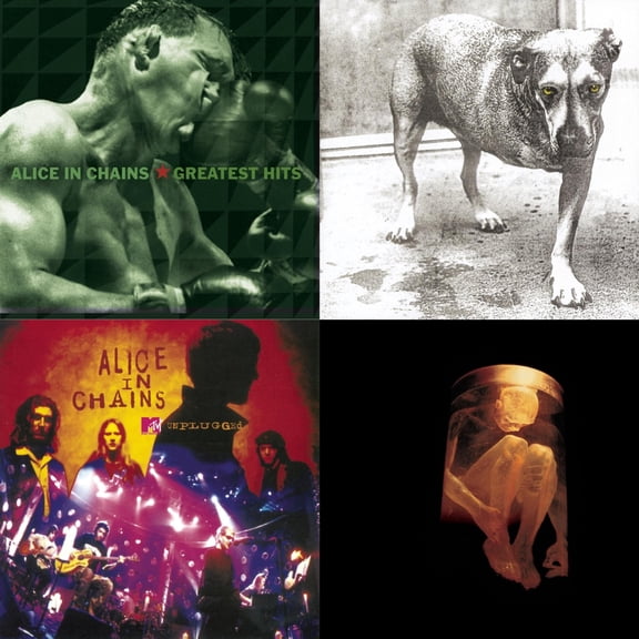 Greatest Hits & Alice In Chains & Unplugged & Nothing Safe: Best Of The Box [CD Bundle]
