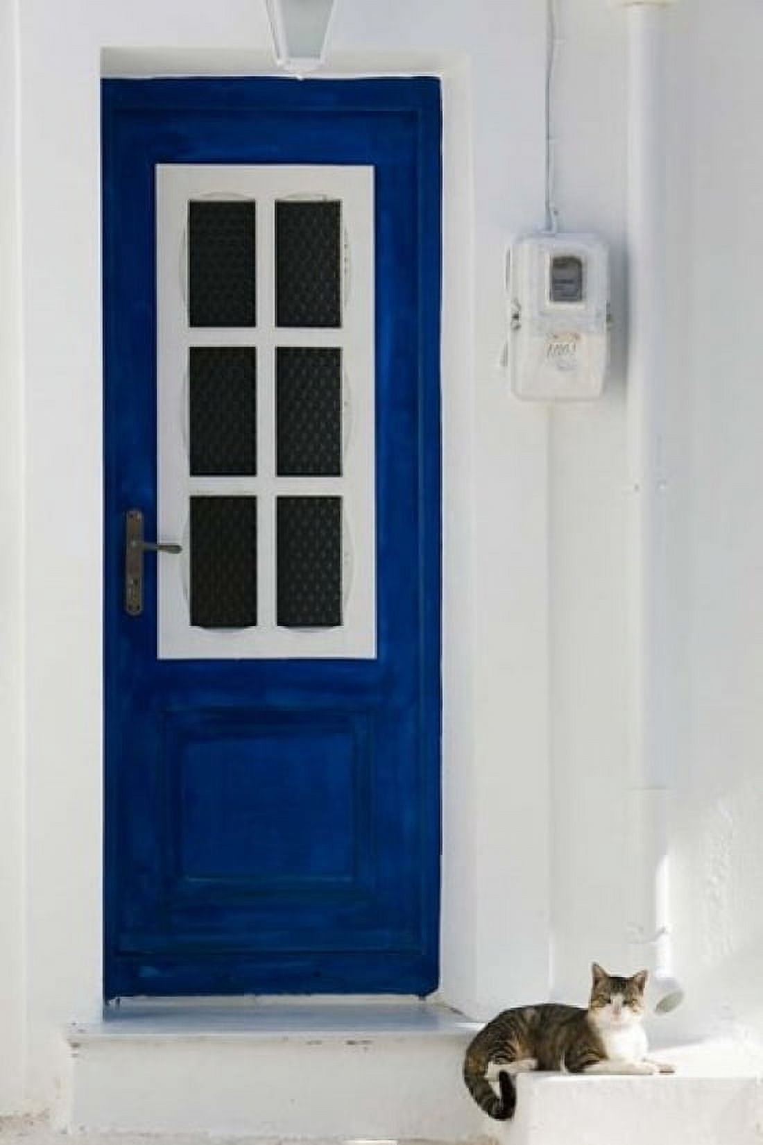 Greece Aegean Islands Samos Door Cat Canvas Art - Walter Bibikow DanitaDelimont (24 x 36)