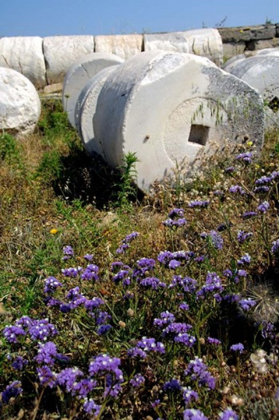 Greece Cyclades Delos Ancient Architecture Canvas Art - Cindy Miller Hopkins DanitaDelimont (23 x 34)