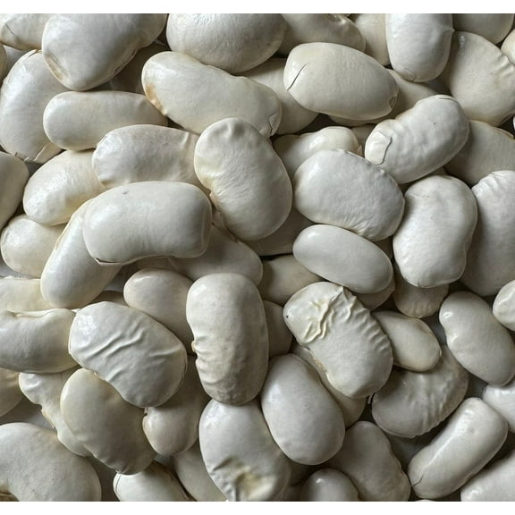 Sherwood's Seeds 10 Greek Gigante Bean Plant Seeds, Heirloom Runner Bean Guaranteed Germination