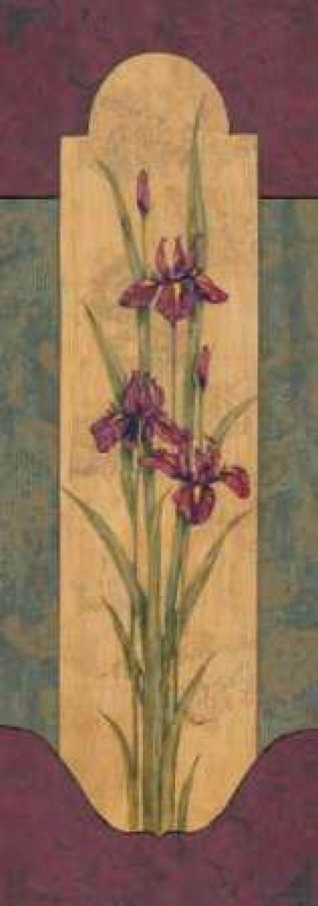 Greek Iris I Canvas Art - Paul Brent (10 x 20)