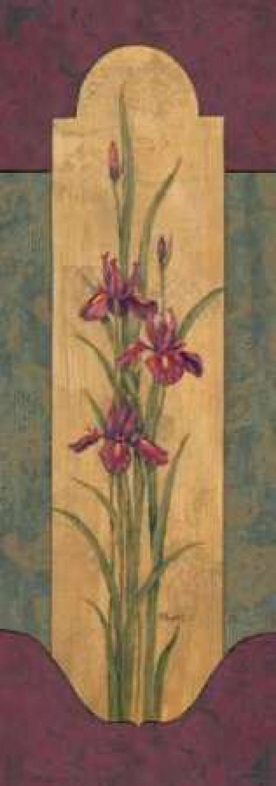 Greek Iris II Canvas Art - Paul Brent (10 x 20)