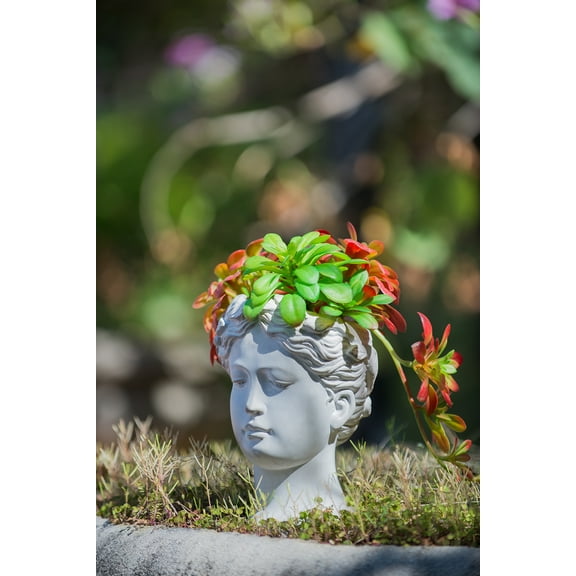 Greek Style Cement Head Planter - Indoor Outdoor Home Garden Decor, D6" x 9"