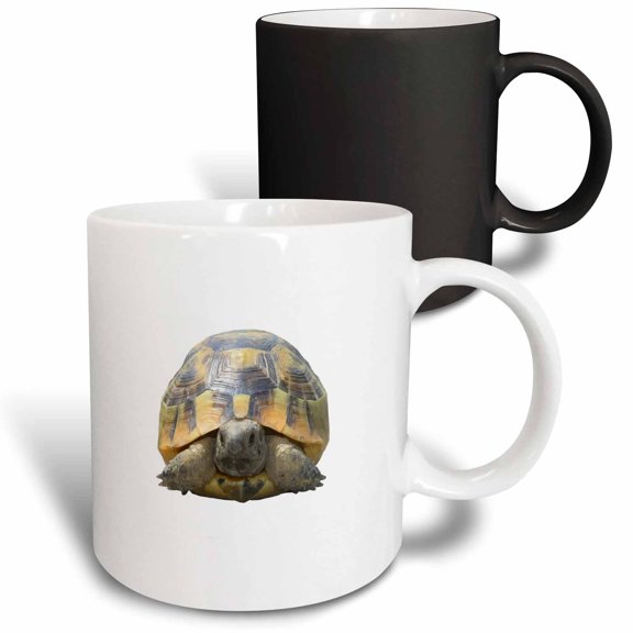 3drose, Greek Tortoise Testudo Tucked in Shell Cut Out, 11oz Magic Transforming Mug