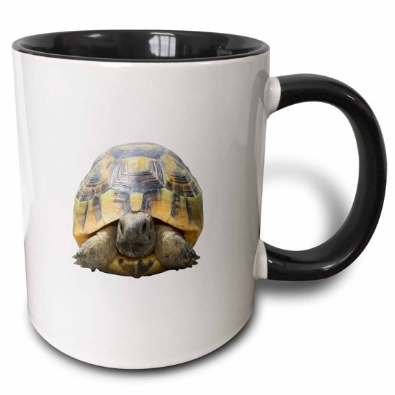 3drose, Greek Tortoise Testudo Tucked in Shell Cut Out, 11oz Two-tone Black Mug