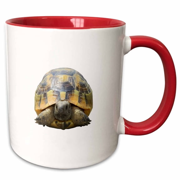 3drose, Greek Tortoise Testudo Tucked in Shell Cut Out, 11oz Two-tone Red Mug