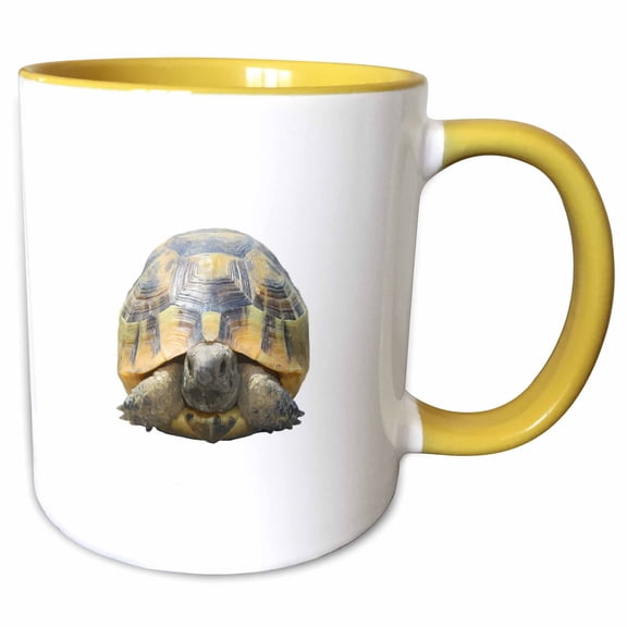 3drose, Greek Tortoise Testudo Tucked in Shell Cut Out, 11oz Two-tone Yellow Mug