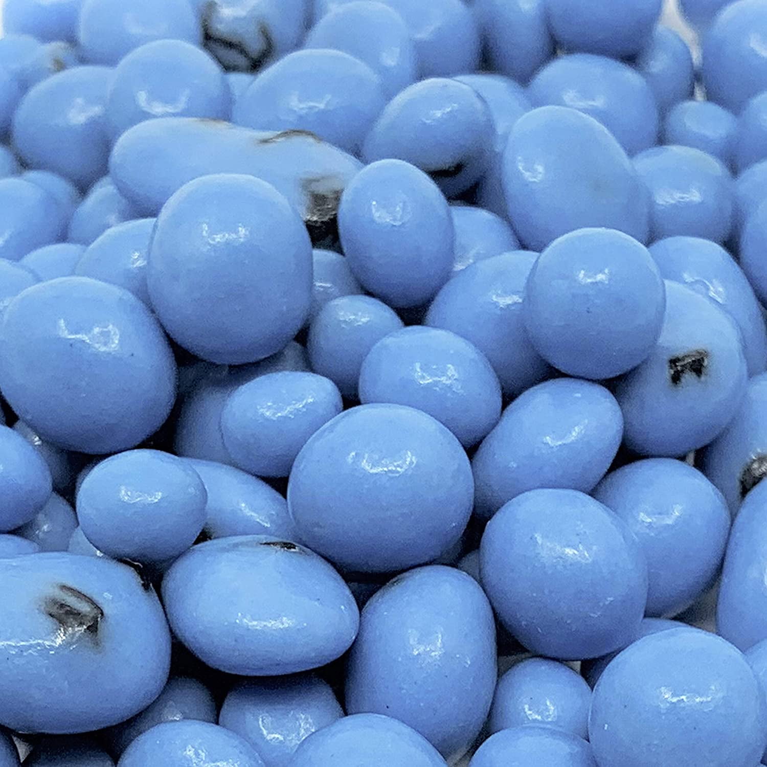 Greek Yogurt Covered Blueberries by , 1 lb Bulk Bag Scrumptis