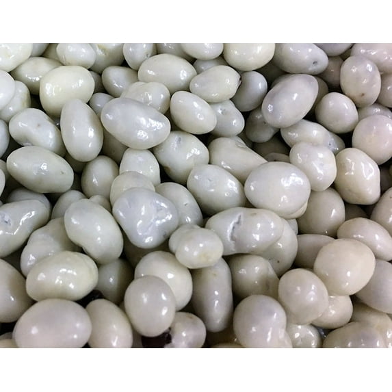 Greek Yogurt Covered Raisins by Its Delish, 1 lb
