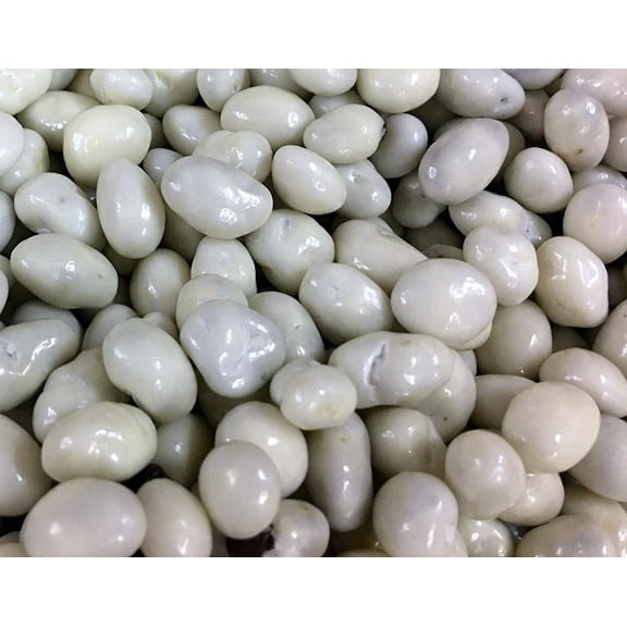 Greek Yogurt Covered Raisins by Its Delish, 5 lbs