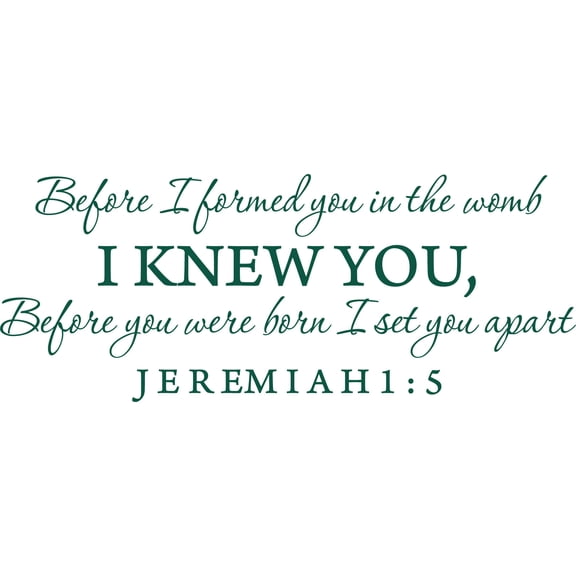 Green 22" x9" Decaltor Before I formed you in the womb Jeremiah 1:5 Vinyl wall art family mother newborn bible prayer Inspirational quotes and saying home décor