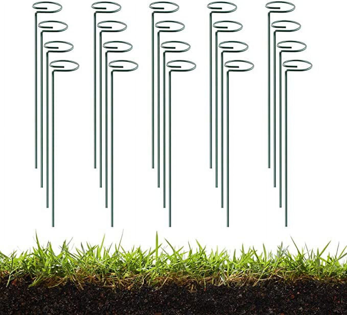 Green 36 h Single Stem Plant Stakes Flower Support Rings, Pack of 20