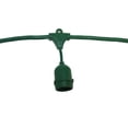 thumbnail image 1 of Green 48-Foot Suspended Medium Base String Light, 1 of 1