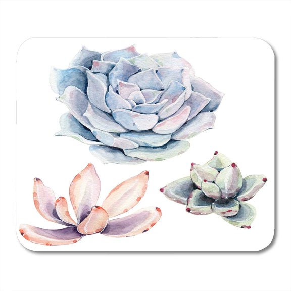 Green Agave Watercolor Succulent Objects Plant Hand Vintage Garden Perfect Birthday White Bonsai Botany Mousepad Mouse Pad Mouse Mat 9x10 inch